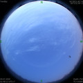 1593805728.jpg