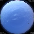 1593805833.jpg