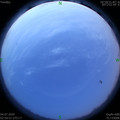 1593805893.jpg