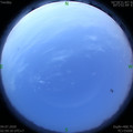 1593806388.jpg