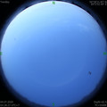1593808144.jpg