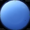1593808204.jpg