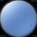 1593812121.jpg