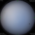 1593817974.jpg