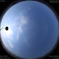 1593826903.jpg