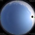 1593862456.jpg
