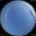 1593873081.jpg
