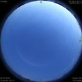 1593881230.jpg