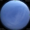 1593969474.jpg