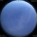 1593969594.jpg