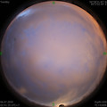 1593978118.jpg