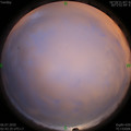 1593978178.jpg