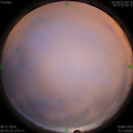 1593978238.jpg