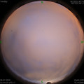 1593978298.jpg