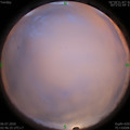 1593978418.jpg