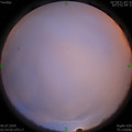 1593978913.jpg