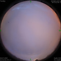 1593978973.jpg