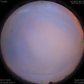 1593979033.jpg
