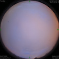 1593979154.jpg