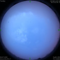 1593980519.jpg