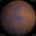 1594063330.jpg