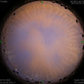 1594063750.jpg