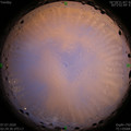 1594063810.jpg