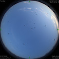 1594132349.jpg