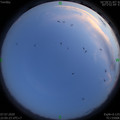 1594134330.jpg