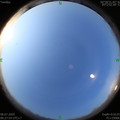 1594164480.jpg
