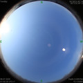 1594166446.jpg