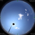 1594185445.jpg