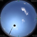 1594185700.jpg