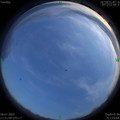 1594218671.jpg