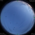 1594306525.jpg