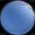 1594306585.jpg