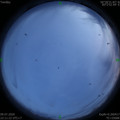 1594307500.jpg