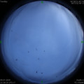 1594308521.jpg