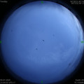 1594310652.jpg