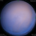 1594314194.jpg