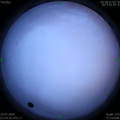 1594325704.jpg