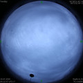 1594329786.jpg