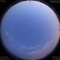 1594400786.jpg