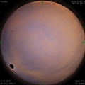 1594410466.jpg