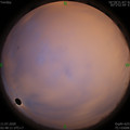 1594410526.jpg