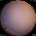 1594410886.jpg