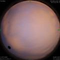1594411066.jpg