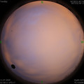 1594411126.jpg