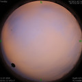1594411306.jpg