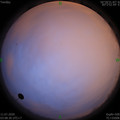 1594411757.jpg
